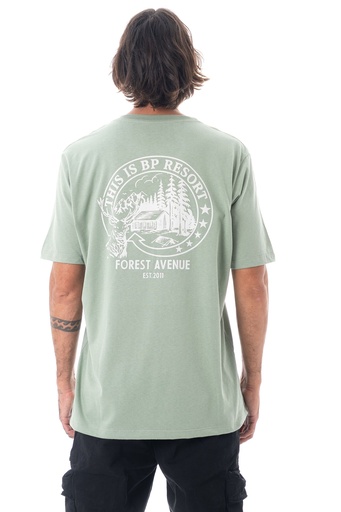 [031215H171] REMERA MANGA CORTA - AVENIDA